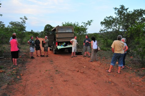 Sundowners at the lek