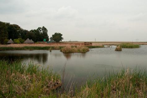 Marievale Bird Sanctuary