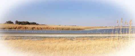 Barberspan, North-West