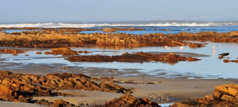 McDougall's Bay, Port Nolloth