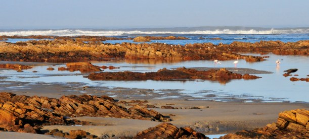 McDougall's Bay, Port Nolloth