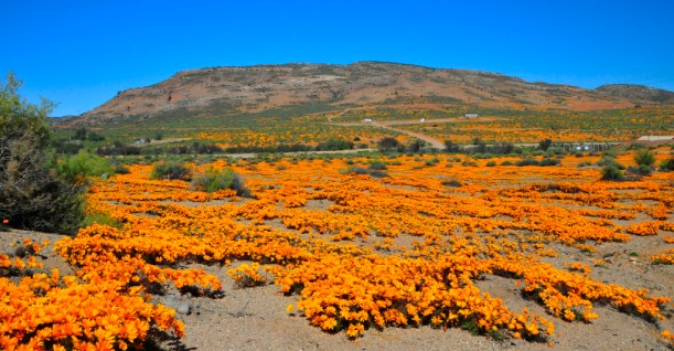 Nababeep, Northern Cape