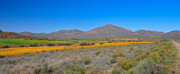 Near Springbok, Northern Cape