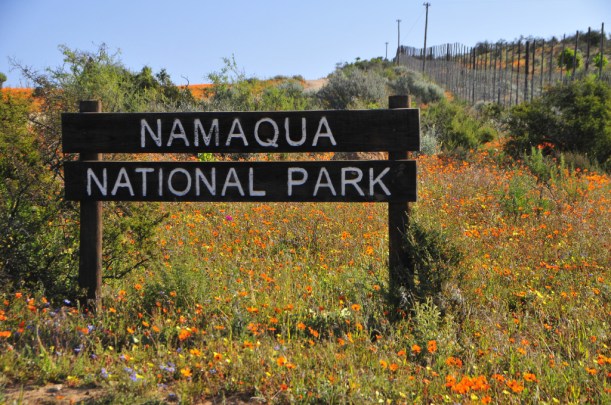 Namaqua National Park (Skilpad Section)