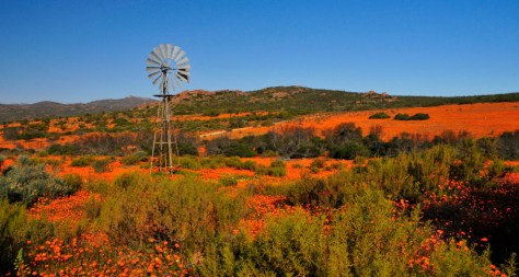 Namaqua National Park