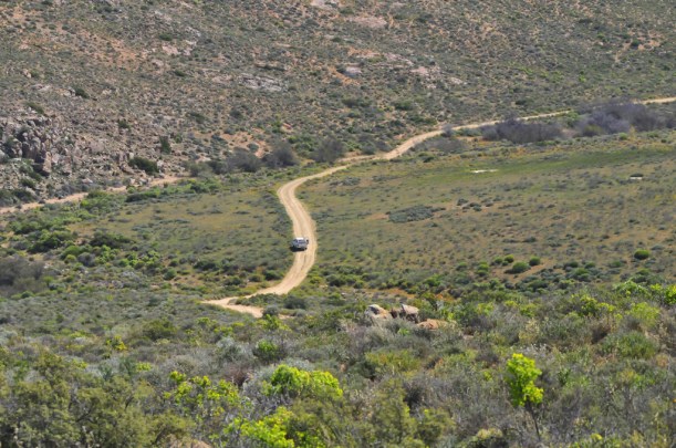 The road to Soebatsfontein