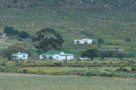 No-Heep farm, near Kamieskroon