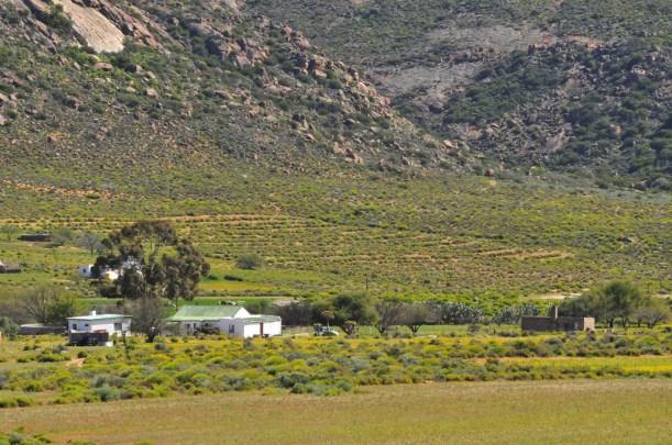 No Heep Farm, near Kamieskroon