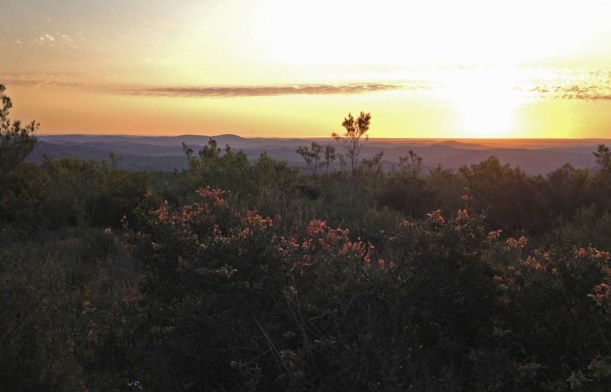 Namaqua National Park