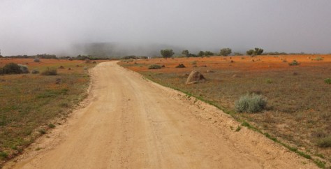 Namaqua National park
