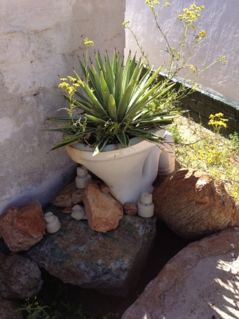 Flowers grow everywhere in these parts