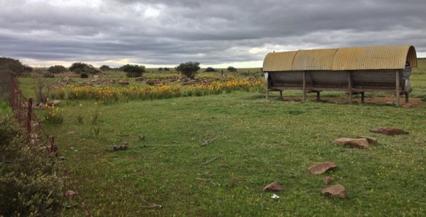 Roadside near Niewoudtville