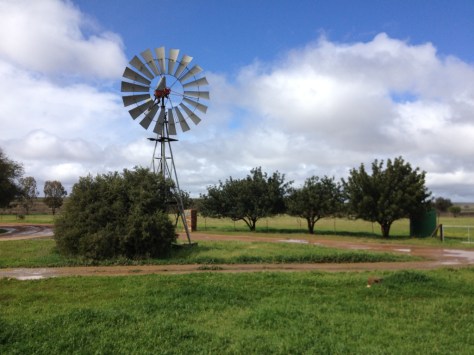 Papkuilsfontein, near Niewoudtville