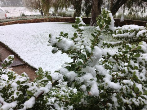 Snow scenes at De Lande