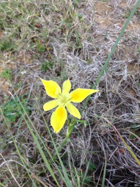 Bontebok National Park