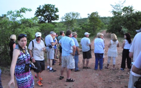 Waiting for a view of Pennant-winged Nightjar