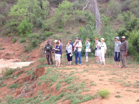 Allasing along the river