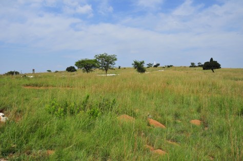 Spioenkop Battlefield 