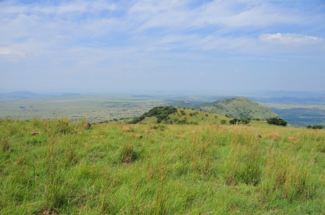 You can see for miles around from Spioenkop