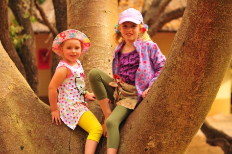 Maia and Megan (Juvenile Leonardii mosselbayi)