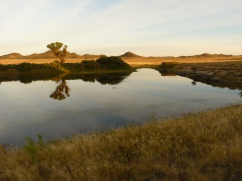 The dam at Prior Grange