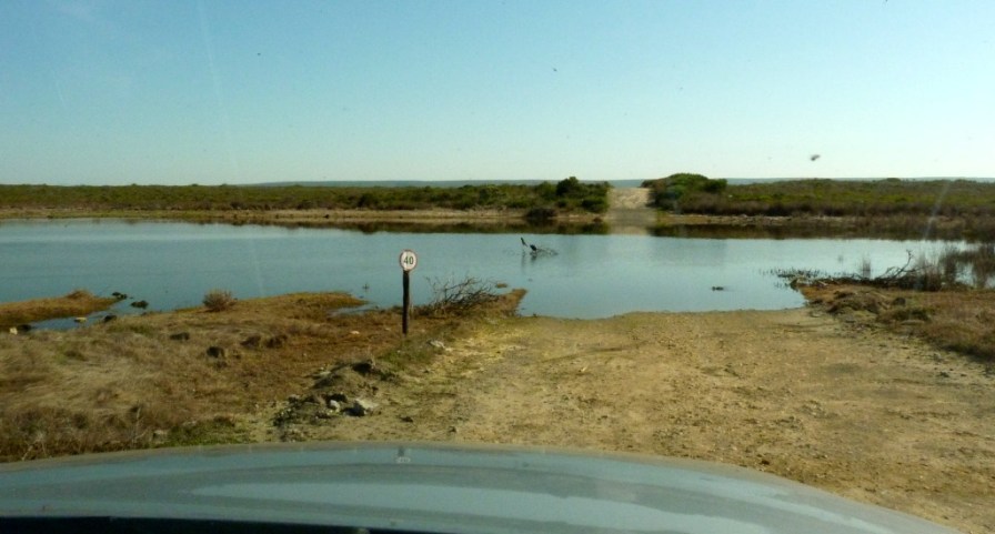 De Hoop Vlei - over the road