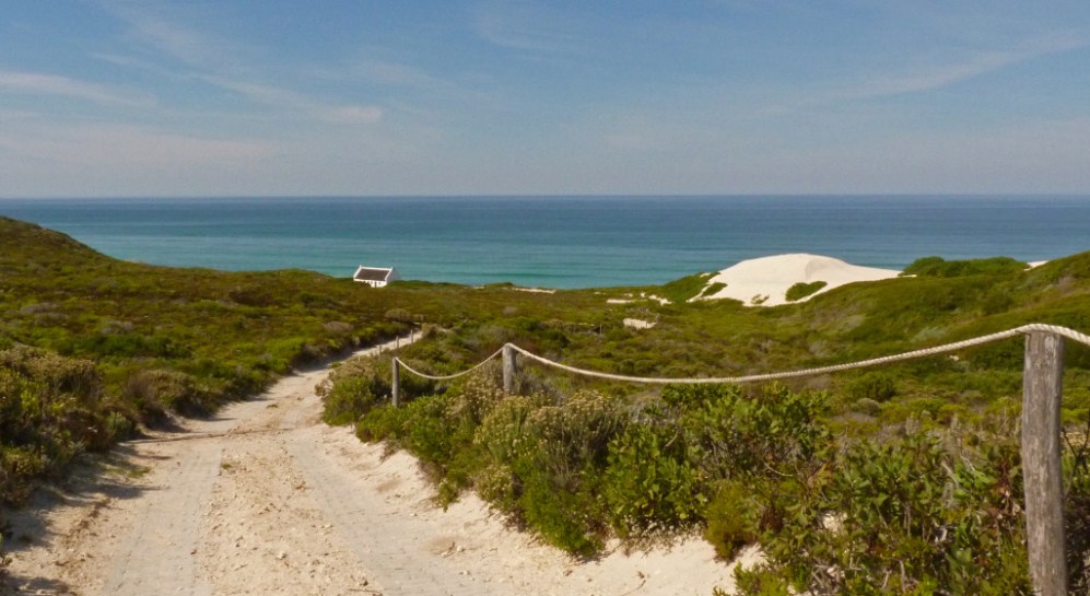 De Hoop NR - Koppie Alleen