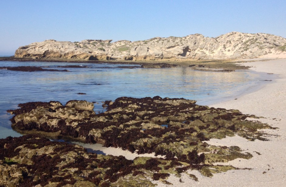 Beach at Koppie Alleen