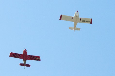 Lesser Air-Piper, Camdeboo NP