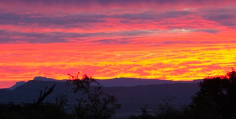 Camdeboo NP - Sunset deluxe