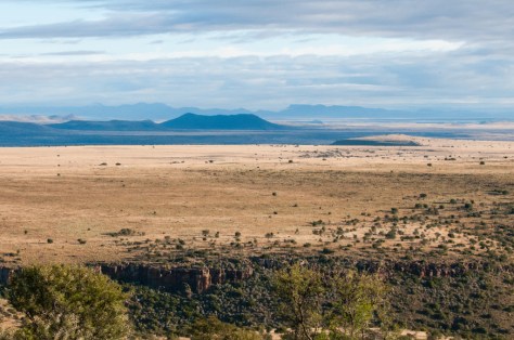 Mountain Zebra National Park