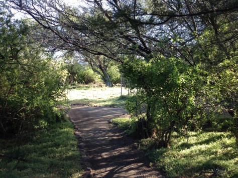 Camdeboo - Lakeview tented camp