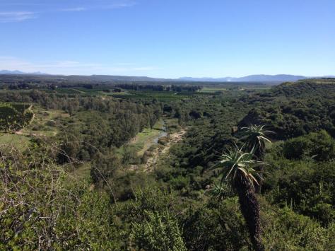 View from The Lookout