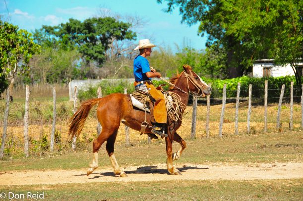 Cowboys are alive and well in Cuba