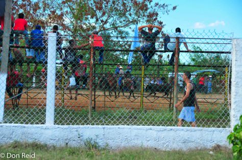 A rodeo was on the go