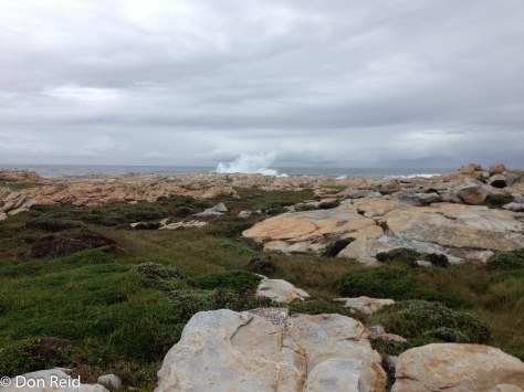 Sea Point Nature Reserve