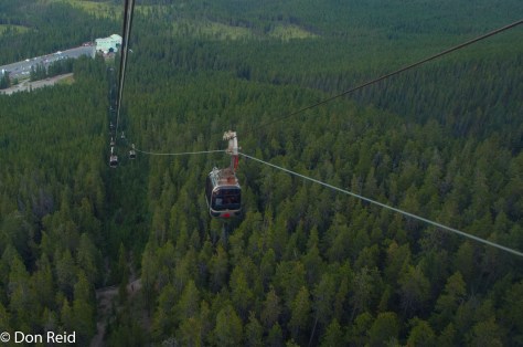 Banff Gondola
