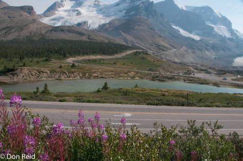 Athabasca Glacier