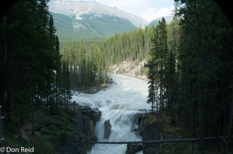 Sunwapta Falls