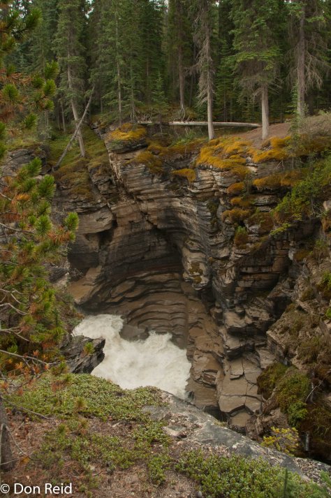 Athabasca Falls