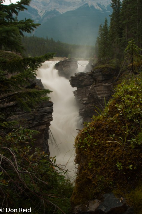 Athabasca Falls