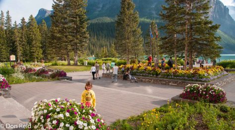 The gardens of the Chateau Hotel at Lake Louise