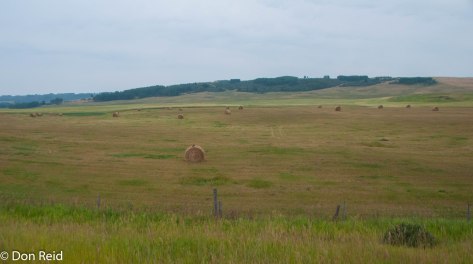 Farmland just outside Calgary