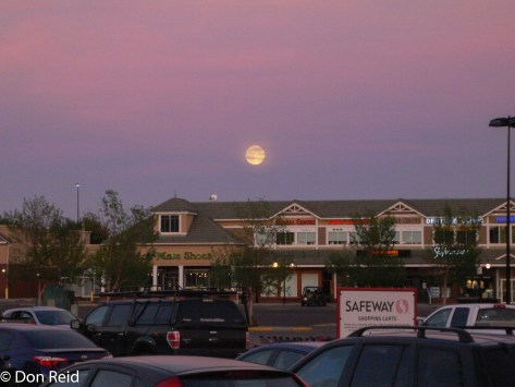 Moon over Calgary