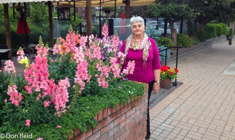 Best Western hotel, Jasper