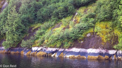 Misty Fjords excursion, Ketchikan