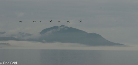 Calmer waters of the Inside Passage