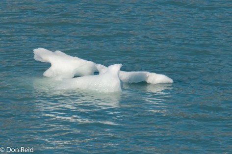 Glacier Bay National Park cruise