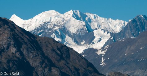 Glacier Bay National Park cruise