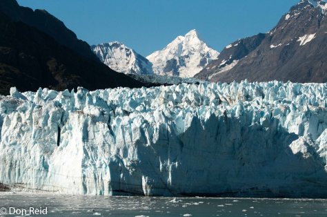 Glacier Bay National Park cruise